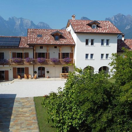 Corte Varola B&B Zia Marisa 贝卢诺 外观 照片